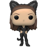 Funko Friends POP Monica Geller Catwoman Vinyl Figure - Radar Toys