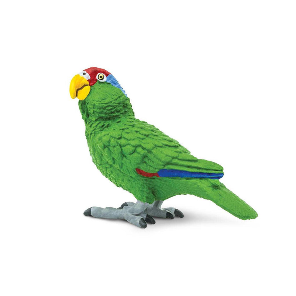 Green-Cheeked Amazon Parrot Wings Of The World Birds Figure Safari Ltd - Radar Toys
