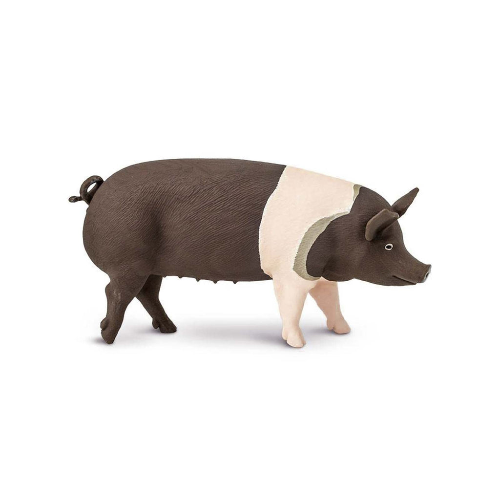 Hampshire Pig Farm Animal Figure Safari Ltd