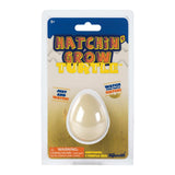 Hatchin' Grow Turtle - Radar Toys
