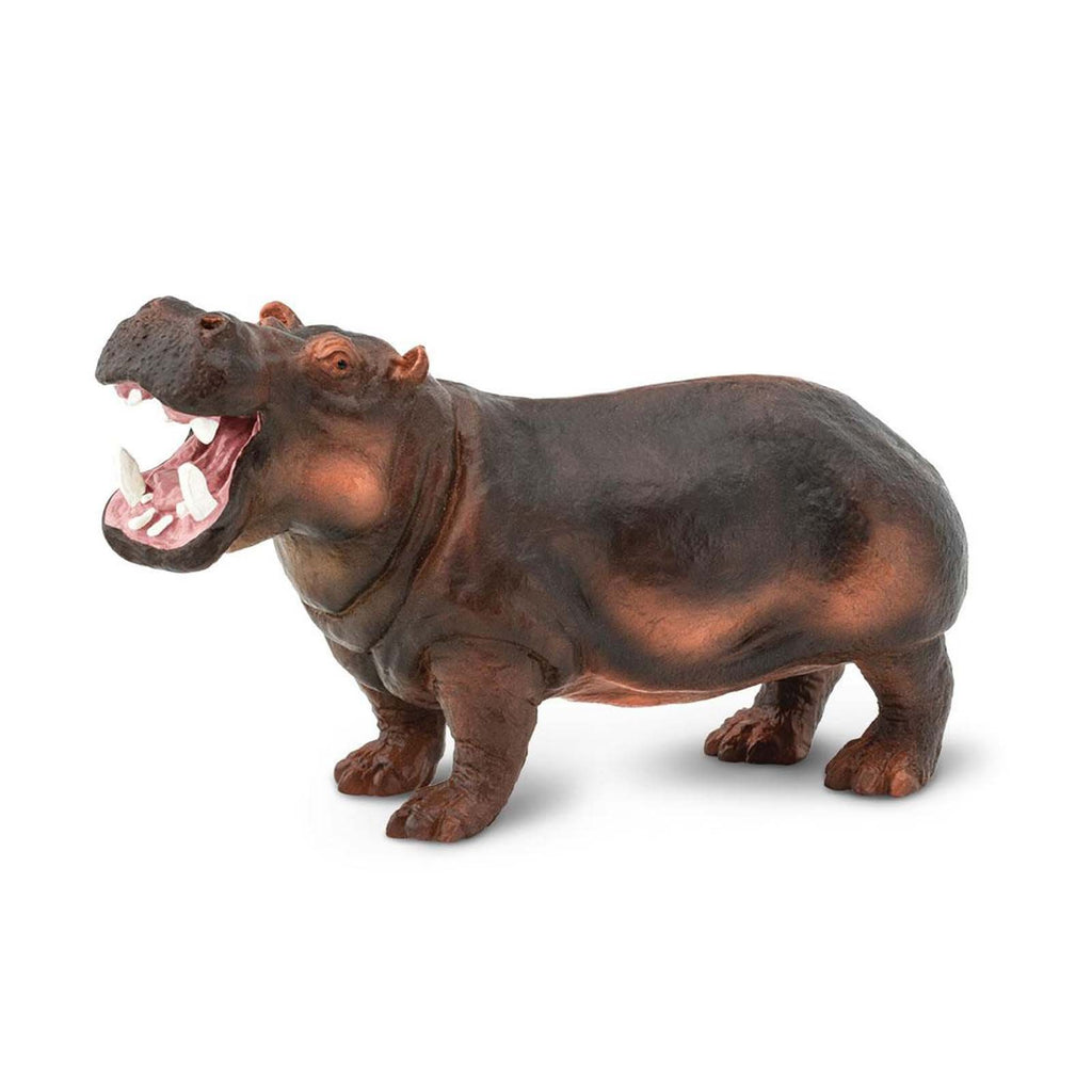 Hippopotamus Wild Safari Animal Figure Safari Ltd