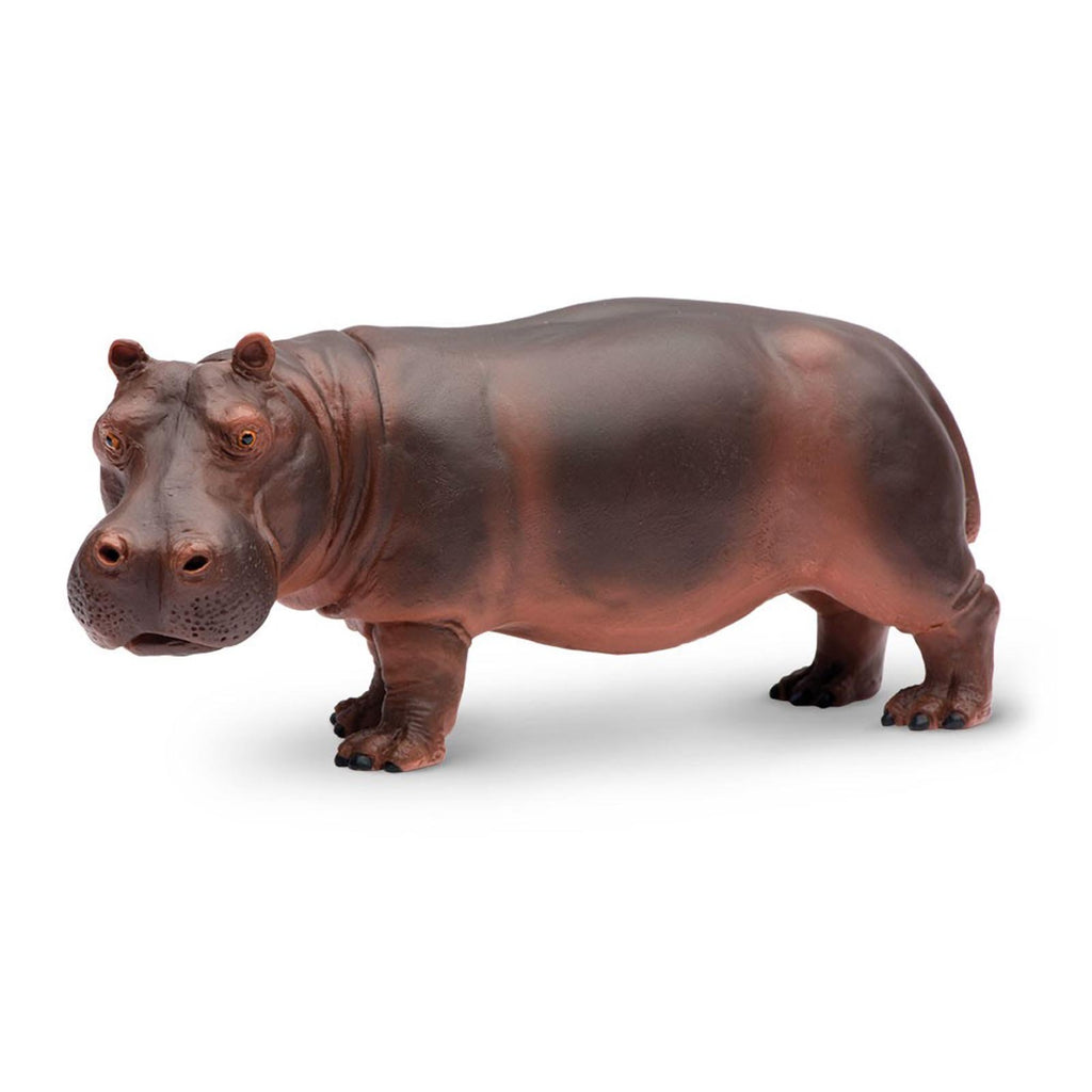 Hippopotamus Wild Safari Animal Figure Safari Ltd