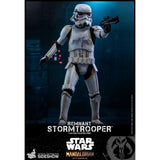 Hot Toys Star Wars The Mandalorian Remnant Storm Trooper Figure - Radar Toys