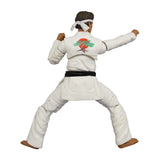 Icon Heroes The Karate Kid Daniel Larusso Action Figure - Radar Toys