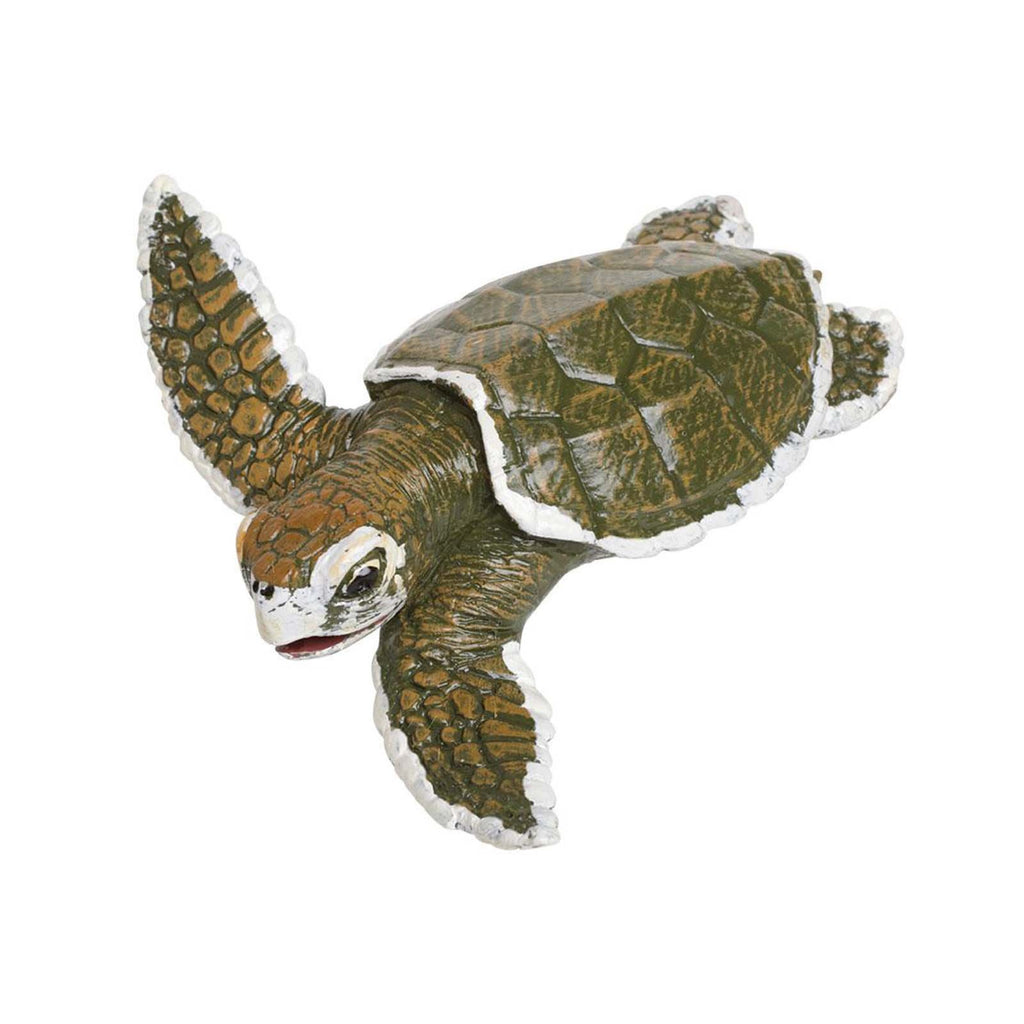 Kemp's Ridley Sea Turtle Baby Incredible Creatures Figure Safari Ltd - Radar Toys
