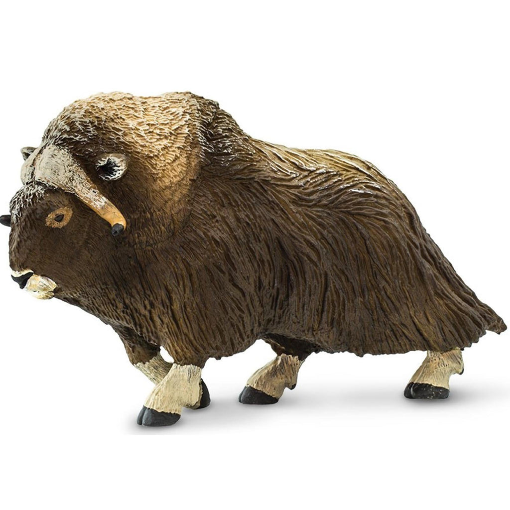 Muskox Figure Safari Ltd