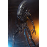 NECA Alien Xenomorph Quarter Scale Action Figure - Radar Toys