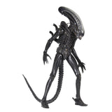 NECA Alien Xenomorph Quarter Scale Action Figure - Radar Toys