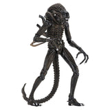 NECA Aliens Ultimate Warrior Brown 7 Inch Action Figure - Radar Toys