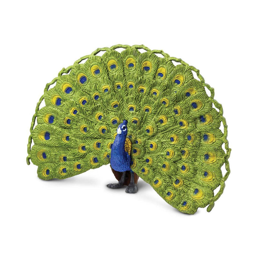 Peacock Wings Of The World Birds Figure Safari Ltd