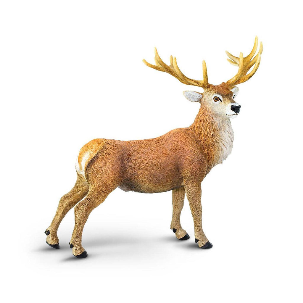 Red Deer Buck Wild Safari Animal Figure Safari Ltd