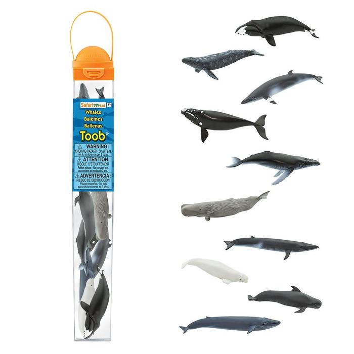 Safari Ltd Whales Toob 100072