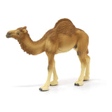Schleich Dromedary Animal Figure 14832 - Radar Toys
