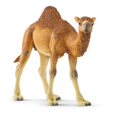 Schleich Dromedary Animal Figure 14832 - Radar Toys