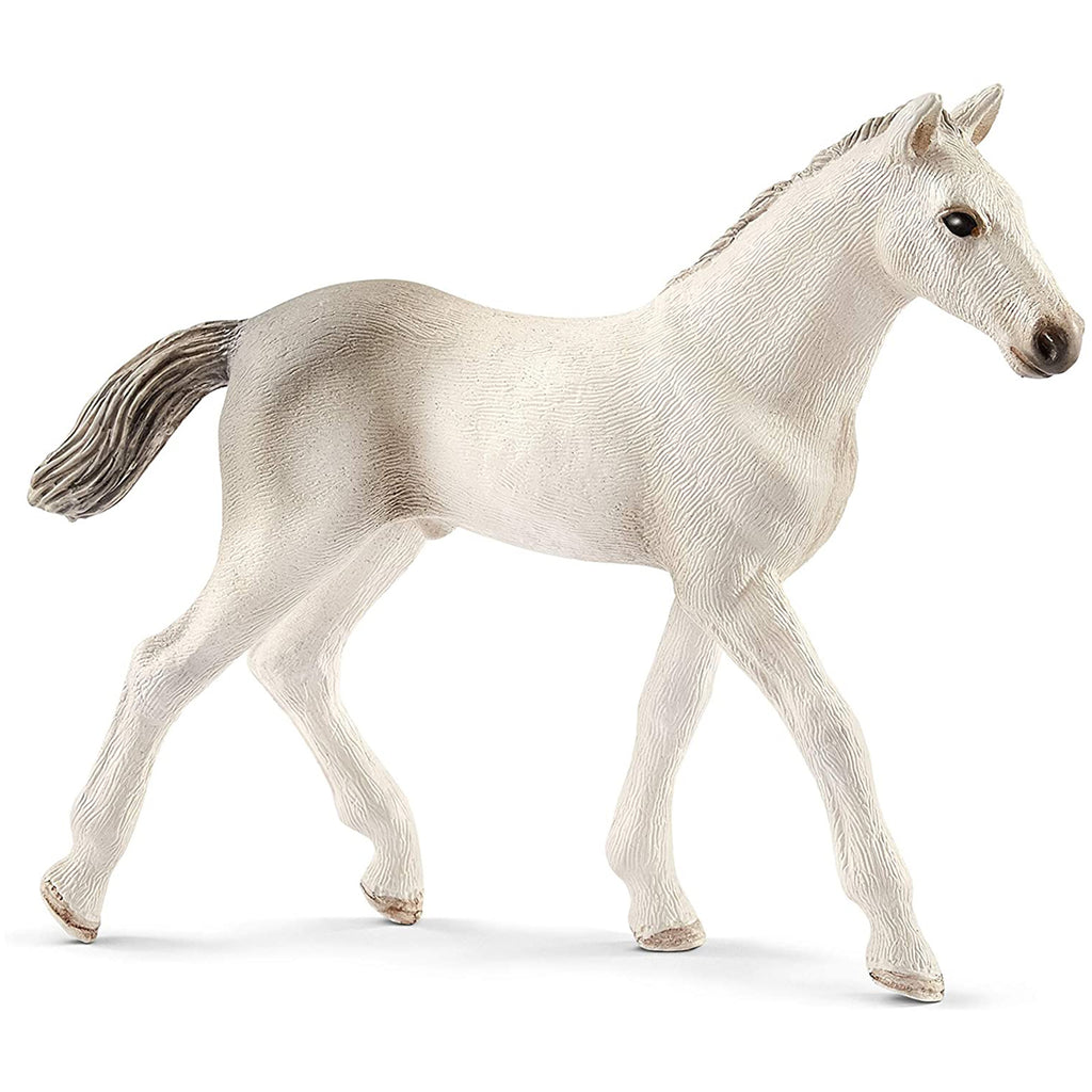 Schleich Holsteiner Foal Animal Figure 13860 - Radar Toys