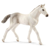 Schleich Holsteiner Foal Animal Figure 13860 - Radar Toys