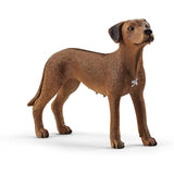 Schleich Rhodesian Ridgeback Animal Figure - Radar Toys