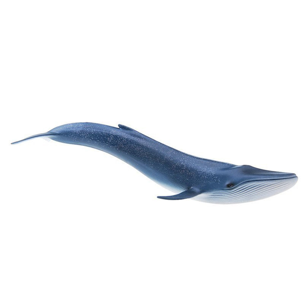 Schleich Blue Whale Figure - Radar Toys