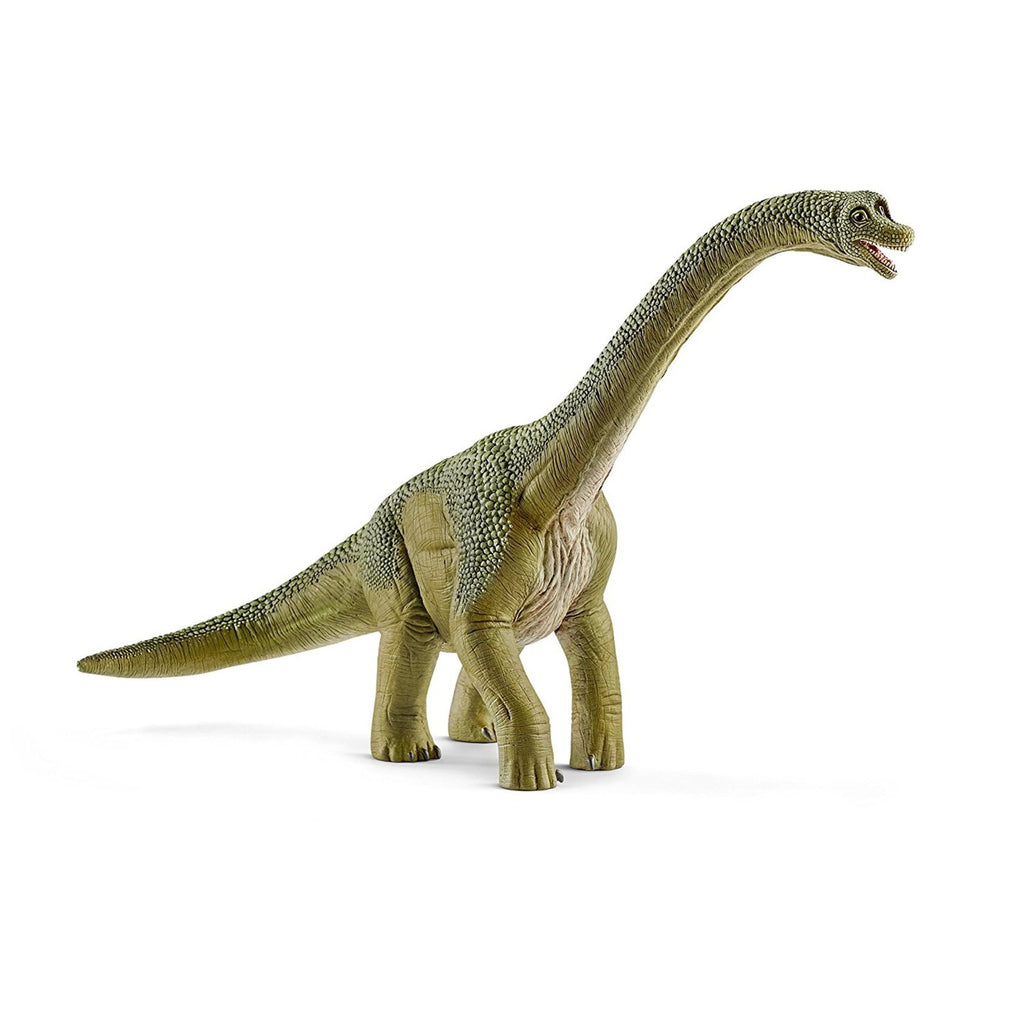Schleich Brachiosaurus Green Dinosaur Figure - Radar Toys