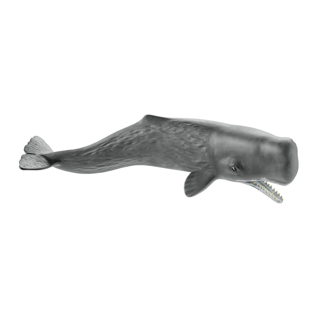 Schleich Sperm Pot Whale Figure - Radar Toys