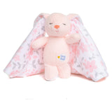 Snug Hugs Pink Bunny Small Plush Blanky - Radar Toys