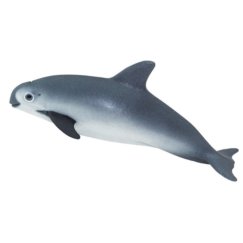 Vaquita Porpoise Figure Safari Ltd