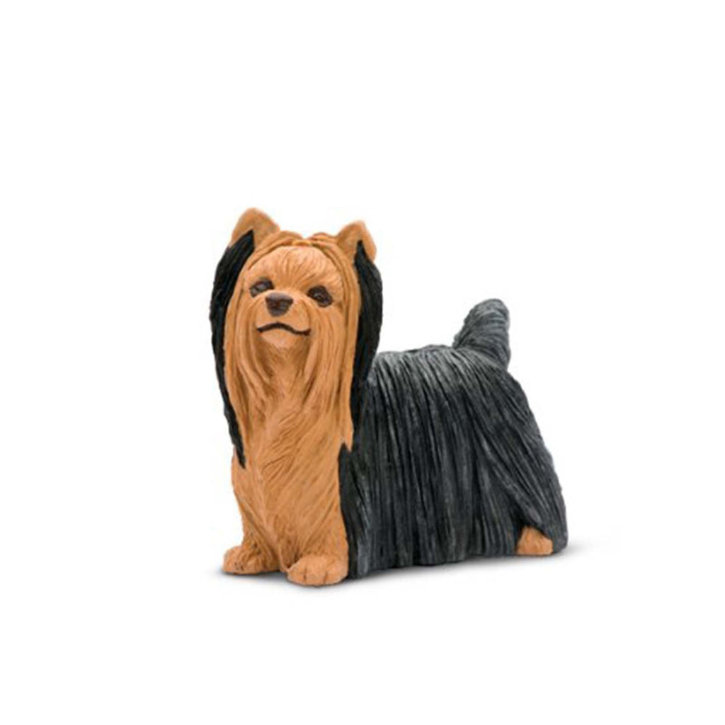 Yorkshire Terrier Best In Show Dogs Figure Safari Ltd