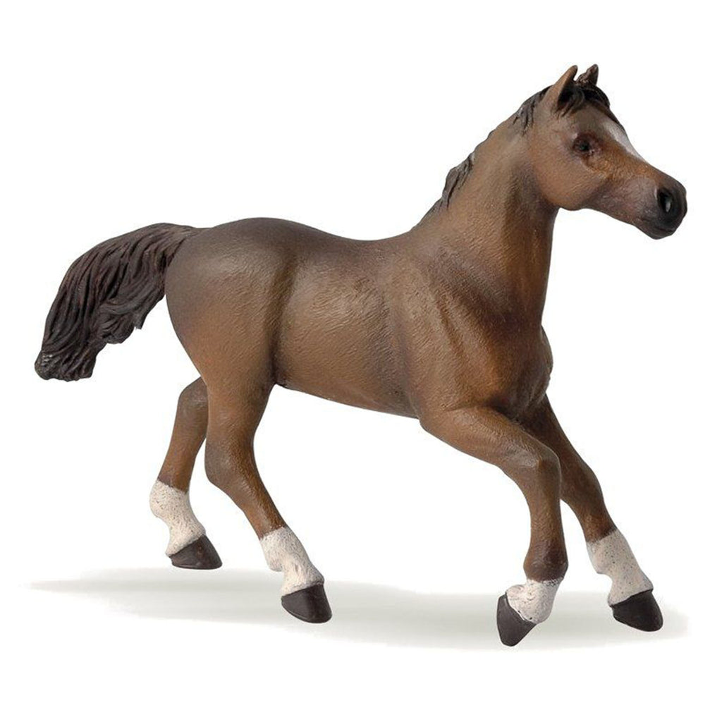 Papo Anglo Arab Horse Figure 51075 - Radar Toys
