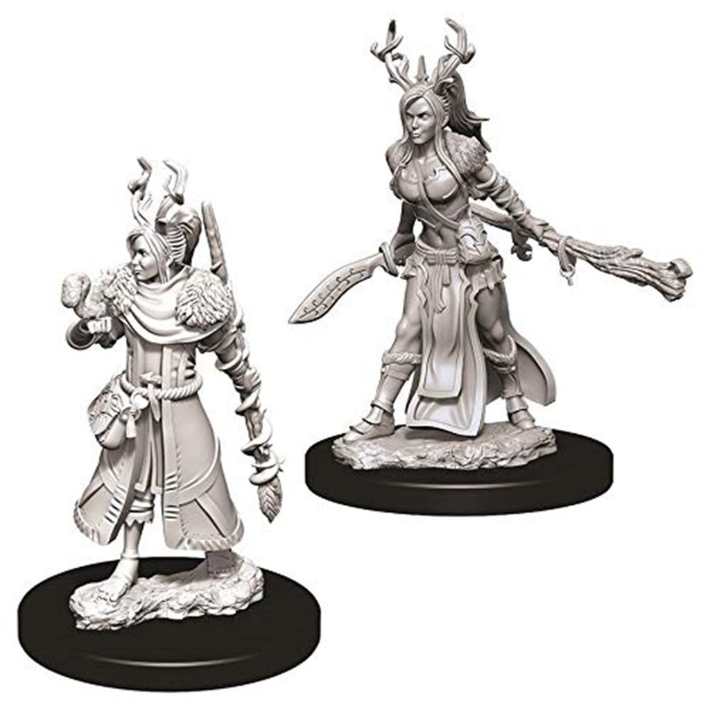 Dungeons And Dragons Female Human Druid Nolzur's Miniatures