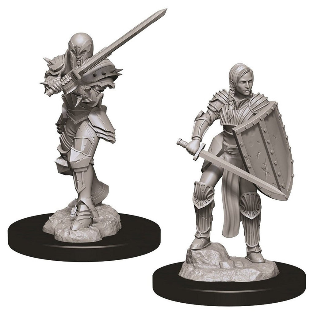 Dungeons And Dragons Female Human Fighter Nolzur's Miniatures