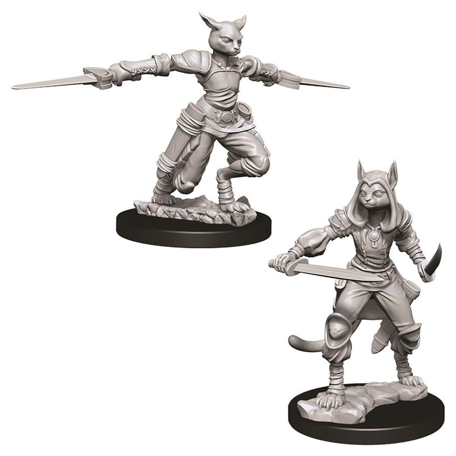 Dungeons And Dragons Female Tabaxi Rogue Nolzur's Miniatures
