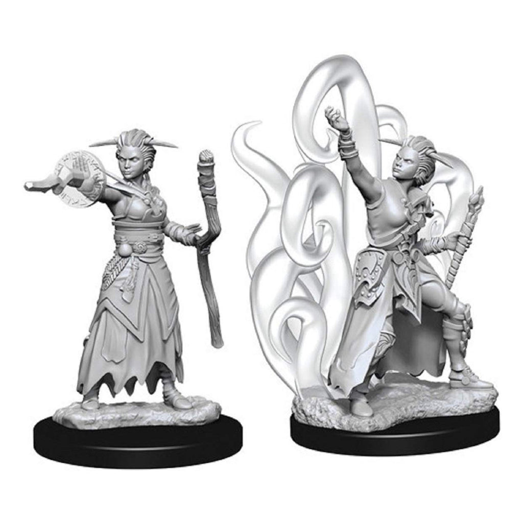 Dungeons and Dragons Human Female Warlock Nolzur's Miniatures