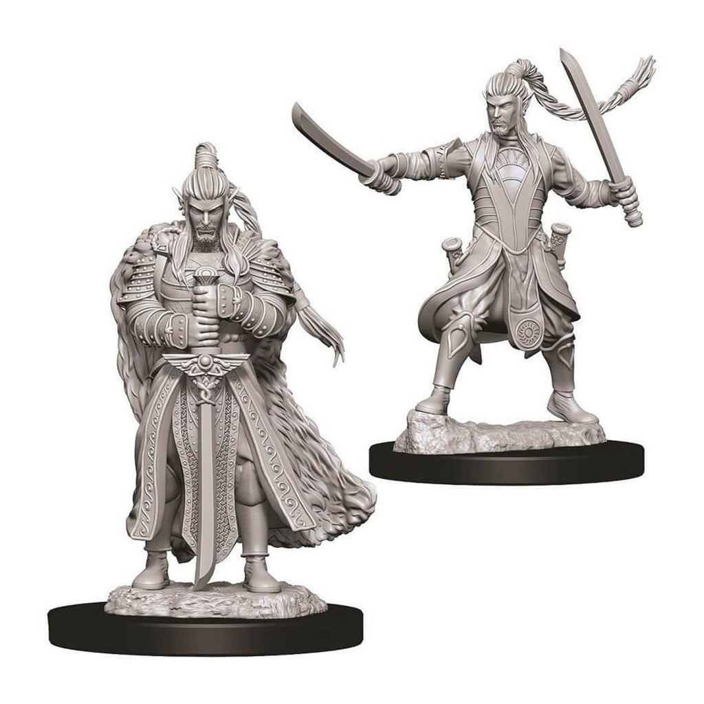 Dungeons And Dragons Male Elf Paladin Nolzur's Miniatures
