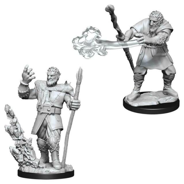 Dungeons and Dragons Male Firbolg Druid Nolzur's Miniatures