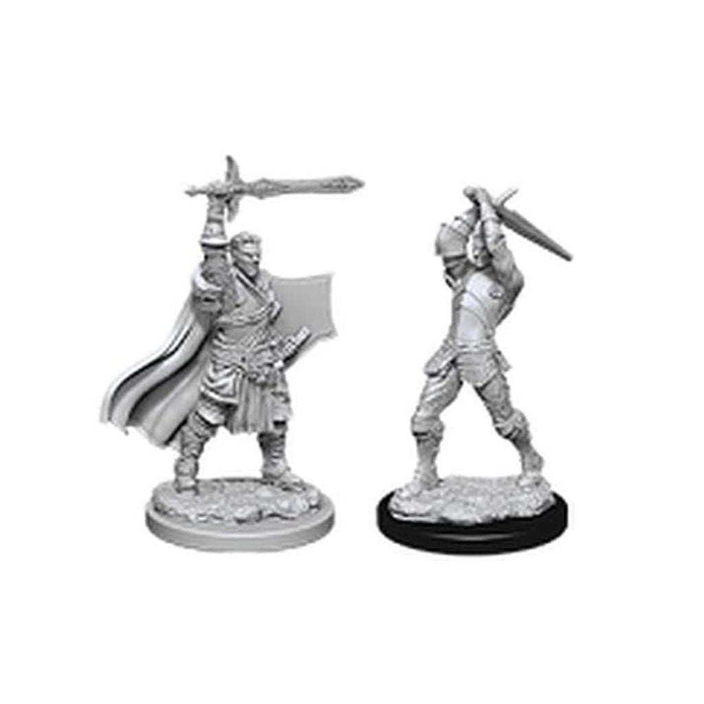 Dungeons and Dragons Male Human Paladin Nolzur's Miniatures