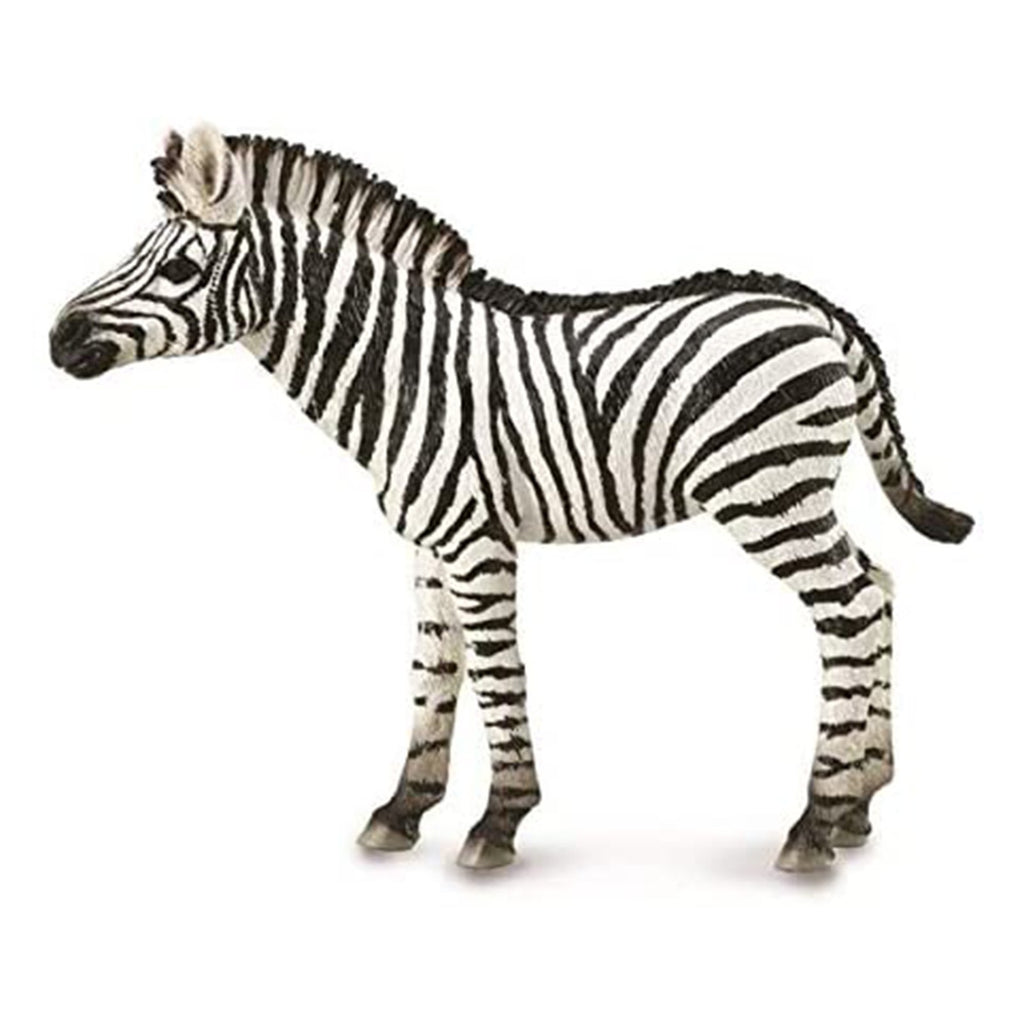 CollectA Zebra Foal Animal Figure 88850