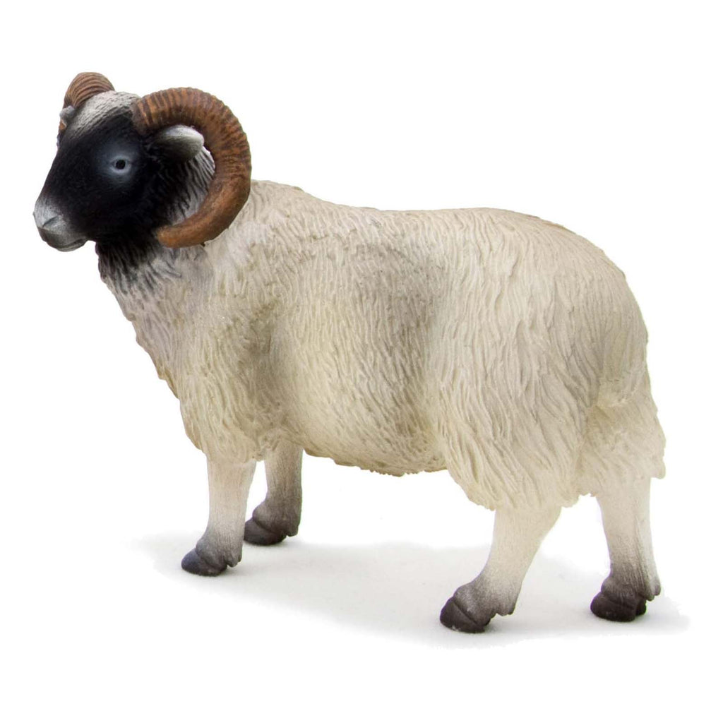 MOJO Black Faced Sheep Ram Animal Figure 387081 - Radar Toys