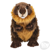Heirloom Beaver 12 Inch Plush - Radar Toys