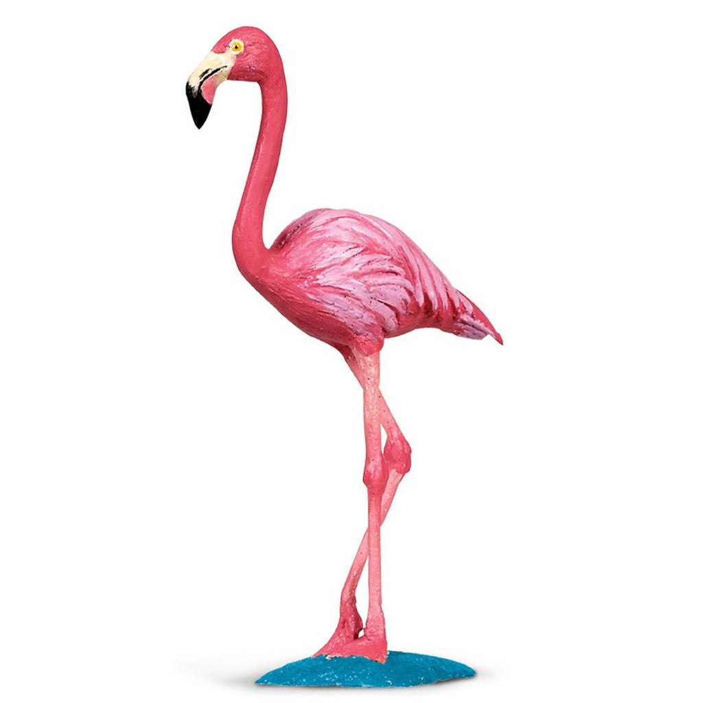 Flamingo Wings Of The World Birds Figure Safari Ltd - Radar Toys