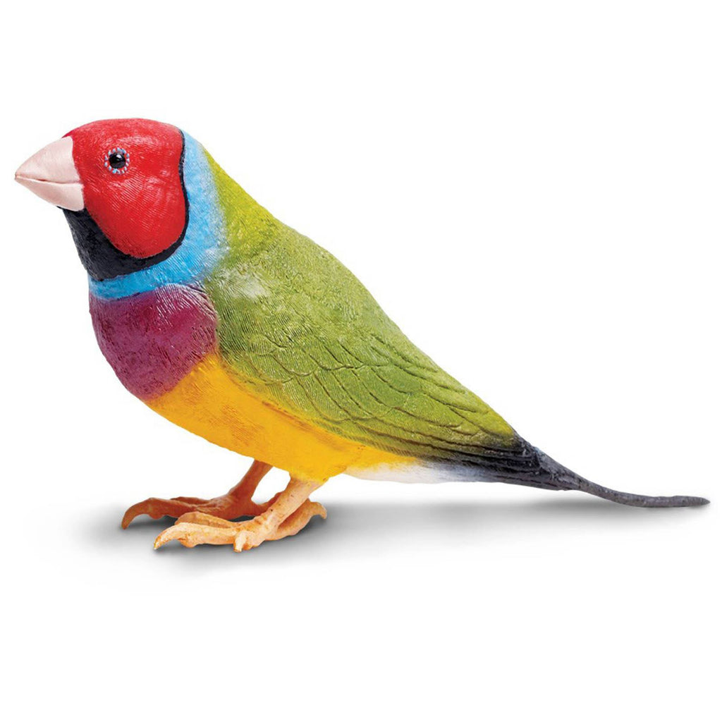 Gouldian Finch Incredible Creatures Figure Safari Ltd - Radar Toys