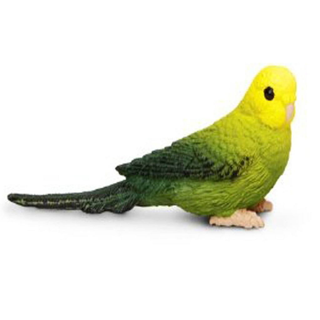 Green Budgie Wings Of The World Figure Safari Ltd - Radar Toys