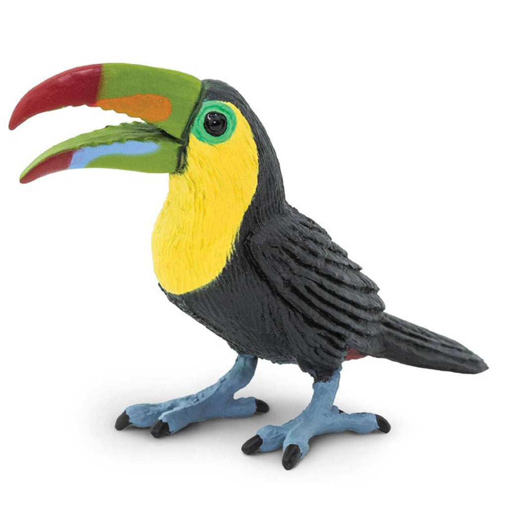 Toucan Wings Of The World Figure Safari Ltd - Radar Toys