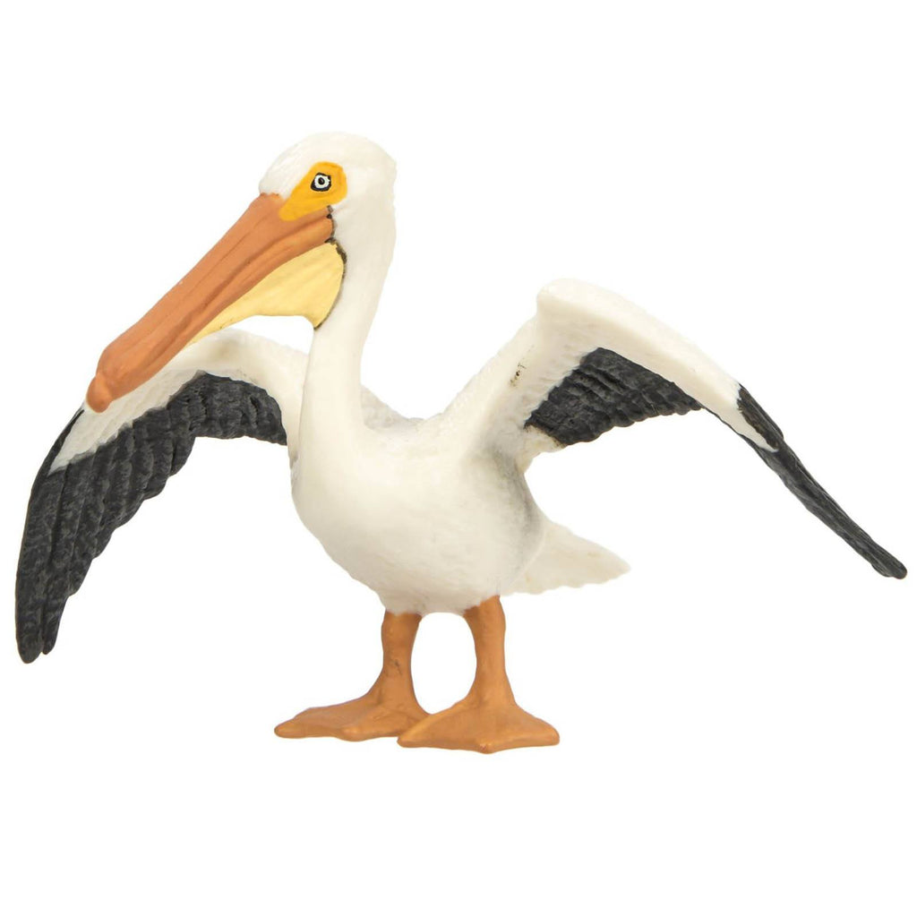 White Pelican Wings Of The World Birds Figure Safari Ltd - Radar Toys