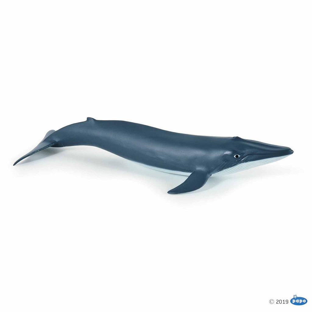 Papo Blue Whale Calf Animal Figure 56041