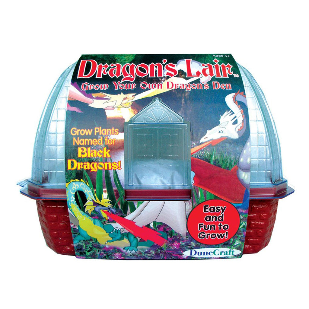 Toysmith Dragon's Lair Grow Plant - Radar Toys