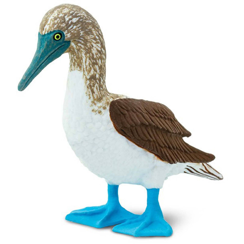 Blue Footed Booby Wild Safari Figure Safari Ltd - Radar Toys