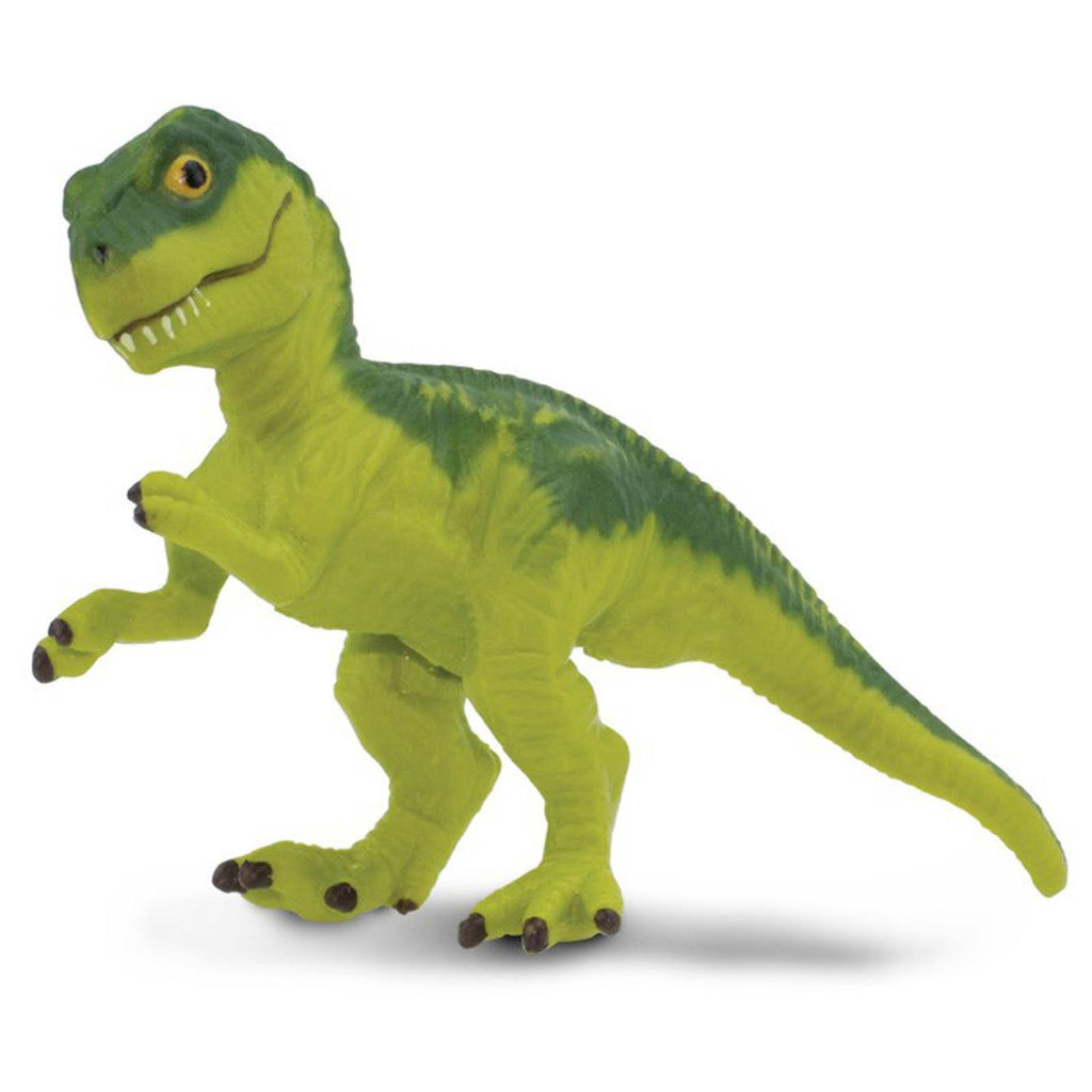 Tyrannosaurus Rex Baby Wild Safari Dinosaurs Figure Safari Ltd - Radar Toys