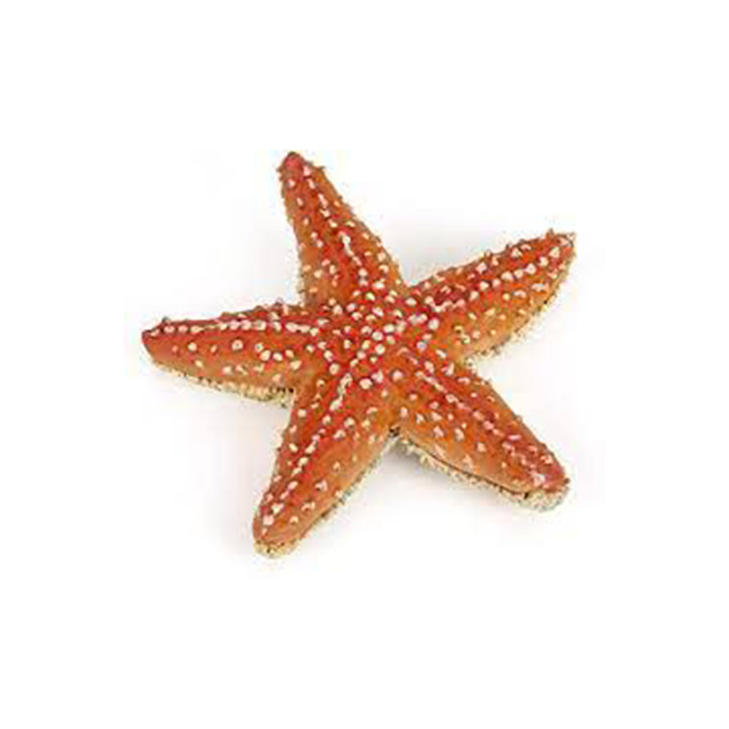 Papo Starfish Ocean Animal Figure 56050 - Radar Toys