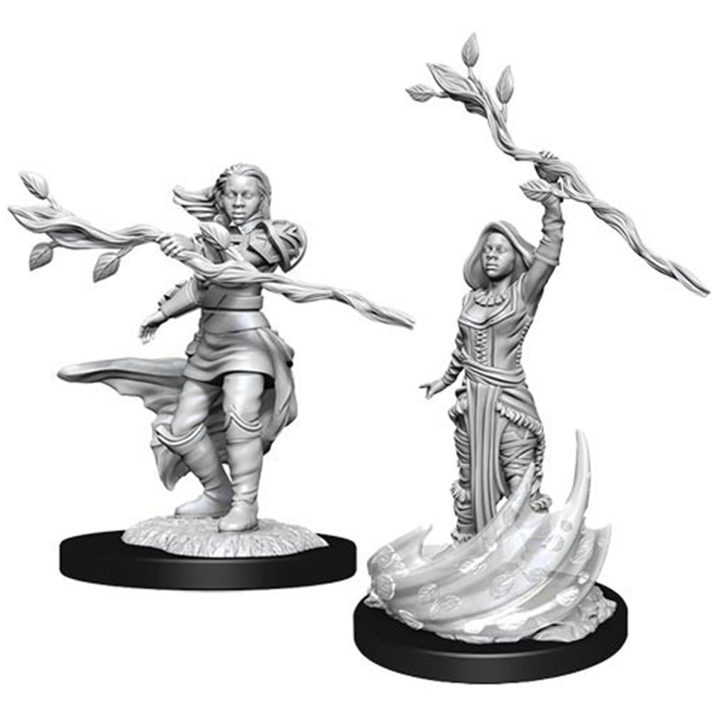 Dungeons And Dragons Female Human Druid Nolzur's Miniatures