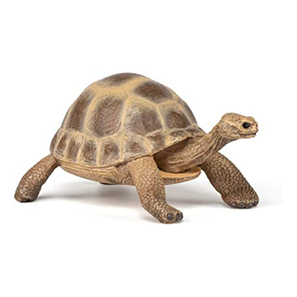 Papo Tortoise Animal Figure 50264 - Radar Toys